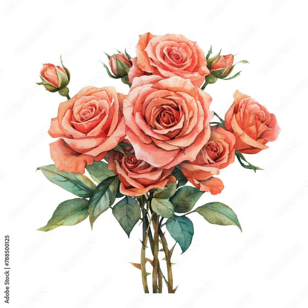 roses bouquet vector illustration in watercolor style