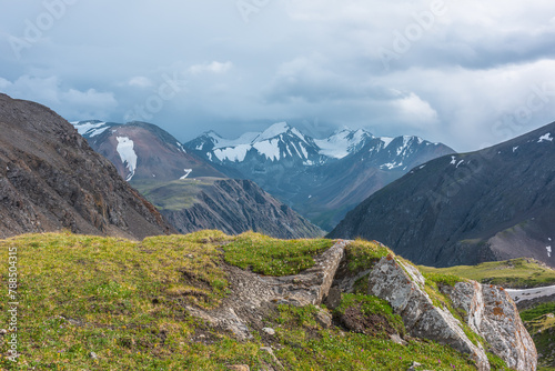 Scenic landscape with alpine flowers on sunlit beautiful grassy rock against few big snowy pointy peaks far away. Vivid green grass rocky hill with view to three large snow peaked tops in cloudy sky.