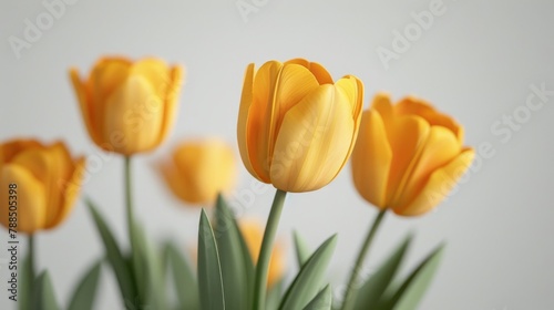 A photo of some yellow tulips with a blurred background.