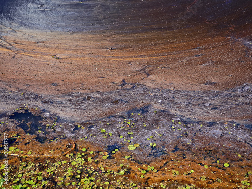 Quadro su tela Heavily polluted water, surface biofilm, bacterial tuft