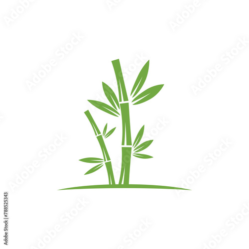 Fototapeta Naklejka Na Ścianę i Meble -  Bamboo logo with green leaf vector icon template