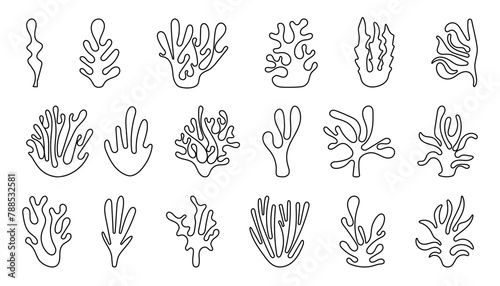 Abstract Algae seaweed shapes. Seaweed big set. Collection of outline underwater plants  vector illustration