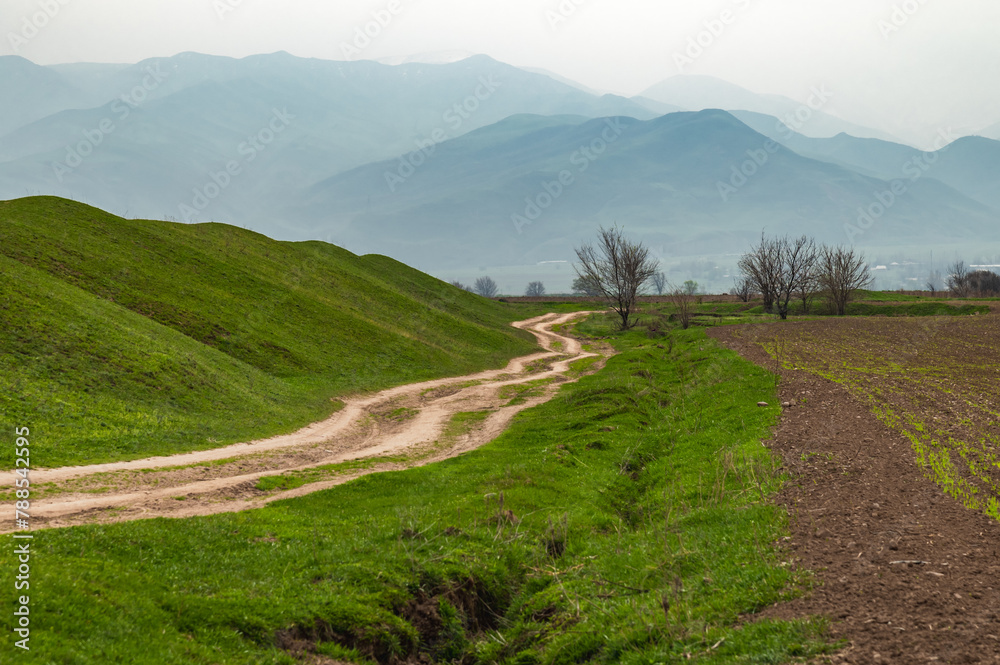 Dirt road through spring green hills. Economic activity in the mountains of Kyrgyzstan.