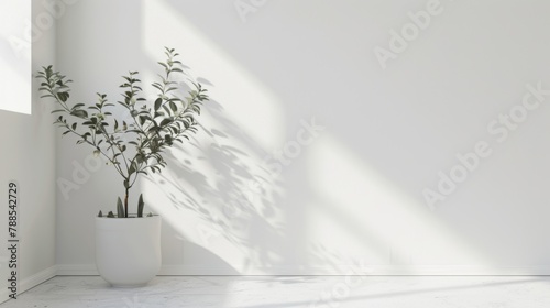  Minimalist White Interior Design with Plant: Clean and Modern Architectural Background