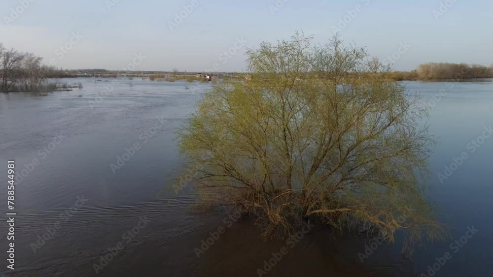Flood in Kazakhstan. Tree flooded with water. The Oral River overflowed its banks. Tree in water. Flood in Kazakhstan. Tree flooded with water. The Oral River overflowed its banks. Tree in water.