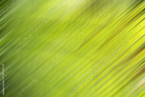 abstract background. Palm leaf edited with soft focus filter and motion blur