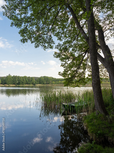 Jezioro w Osiecznej, na pierwszym planie trzcina, drzewo i łódka © Bartosz