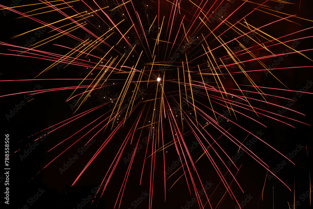 Obraz premium Fireworks in the night