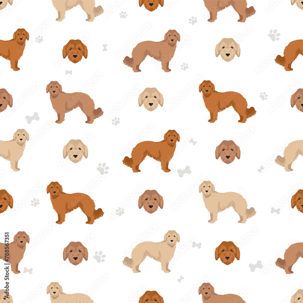 Fototapeta premium Basque Shepherd dog all colours seamless pattern. Different coat colors and poses set