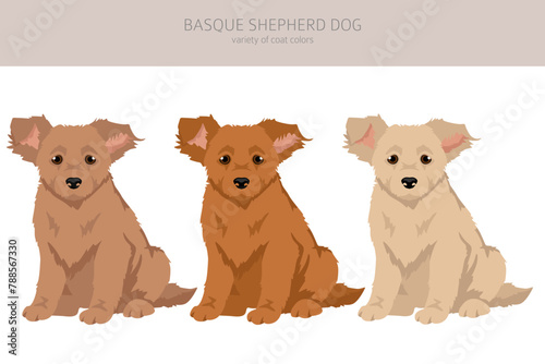 Basque Shepherd dog all colours puppy clipart. Different coat colors and poses set
