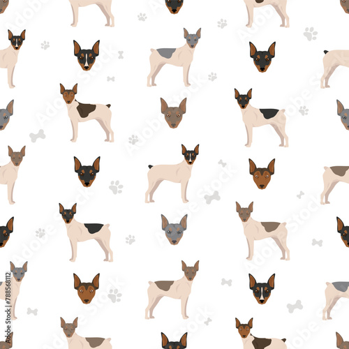 Brazilian terrier seamless pattern. Different coat colors and poses set