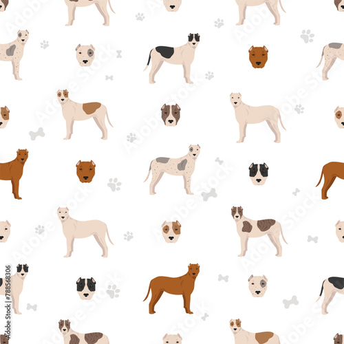 Bully Kutta seamless pattern. Different coat colors and poses set