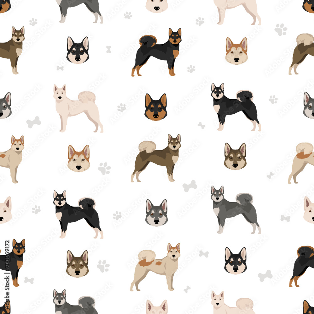 Fototapeta premium East siberian laika seamless pattern. Different coat colors set