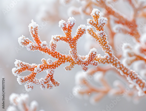 Closeup of coral branches on a white background, with the coral in the center of the frame, ai