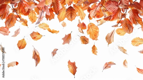 A bunch of leaves flying in the air, perfect for autumn themed designs
