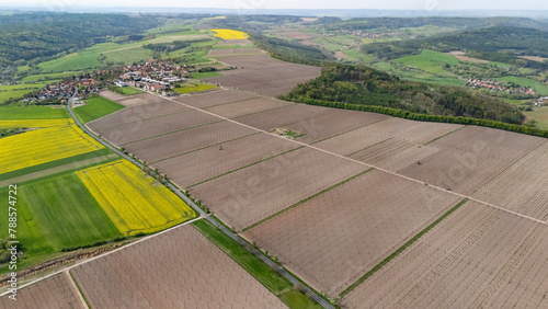 aerial view of a hops field in the Czech Republic in April