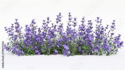 A bunch of purple flowers on a white surface. Suitable for various design projects