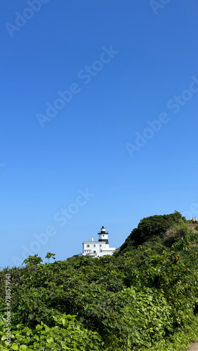 black and white lighthouse over the hill (ID: 788579141)