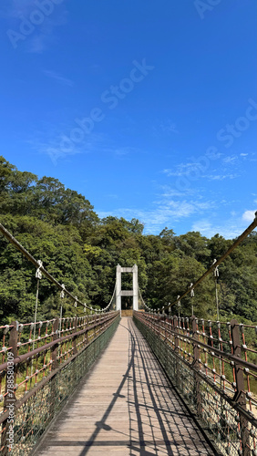 suspension bridge in the mountains (ID: 788580309)