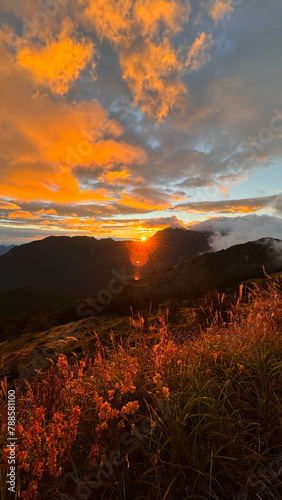 sunrise in the mountains with wild grass in the foreground (ID: 788581100)