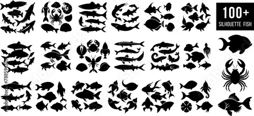 Fish silhouette bundle set