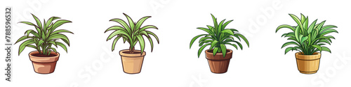Multiple potted plants lined up closely next to each other.