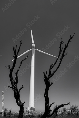Wind generators on the island of Evoia in Greece. 
Evoia suffered from wildfires every summer. photo