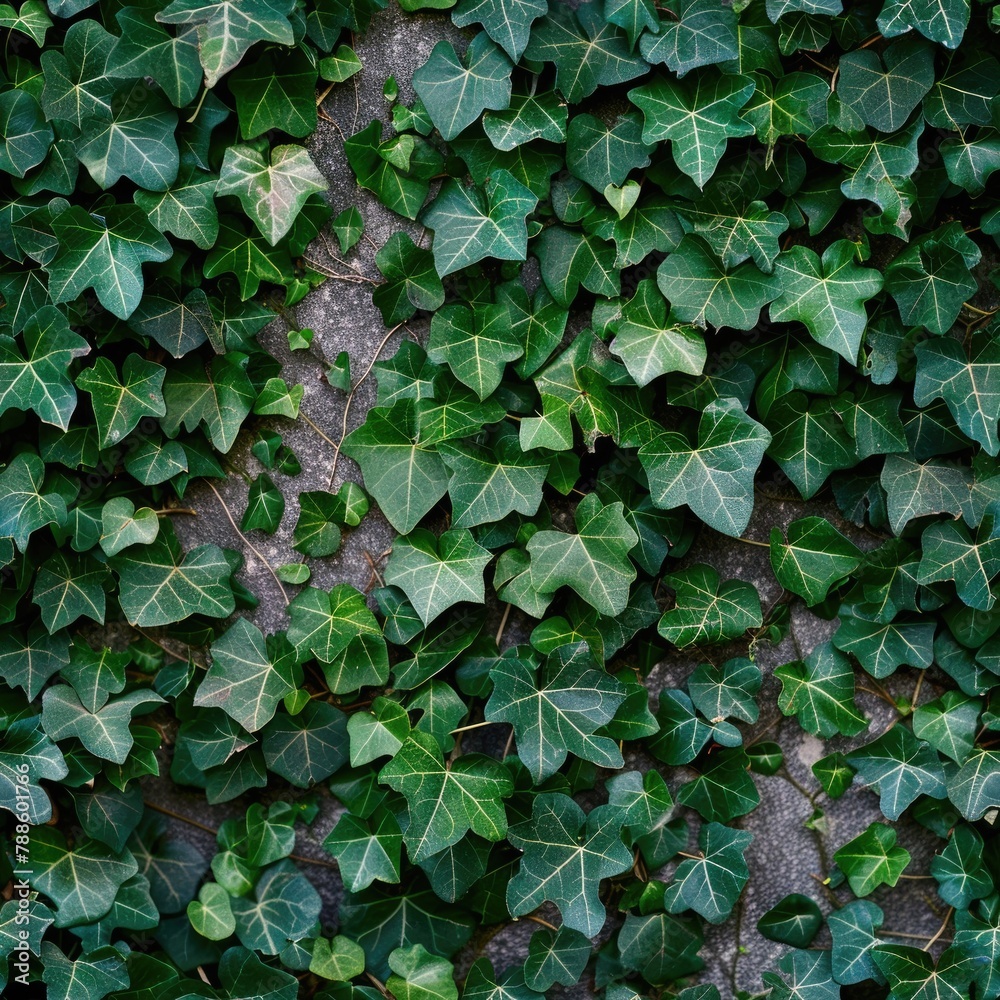 Seamless pattern of ivy leaves climbing a wall Seamless pattern of ivy leaves climbing a wall
