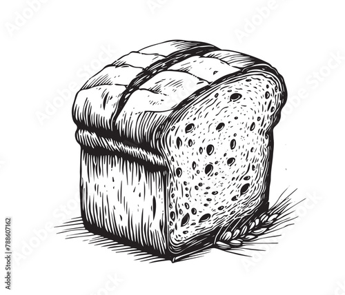 Bread hand drawn illustrations