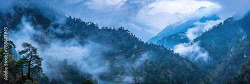Beautiful A Serene Mountain Valley in Valley with Blue Skies, Forest and Fog