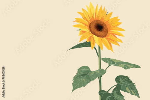Sunflower graphic on a cream background