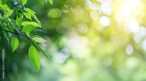 Basking in the soft sunlight, vibrant green leaves exude freshness, while bokeh lights enhance the scene with a serene ambiance.