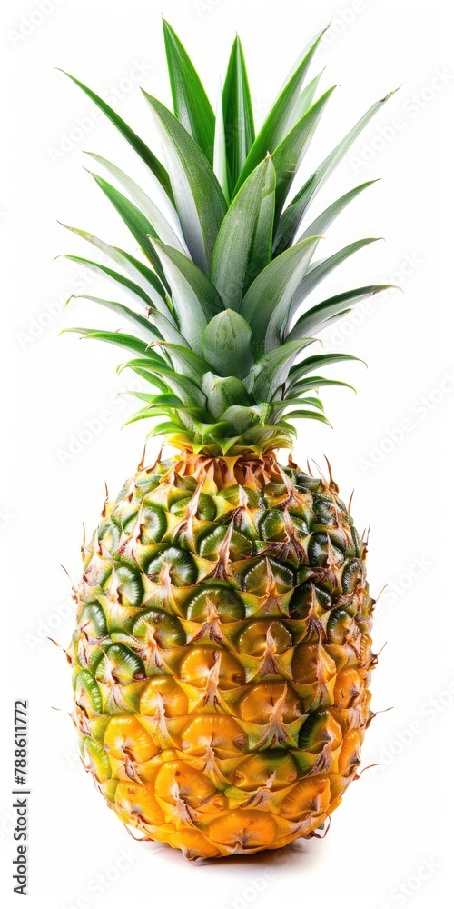 Whole Pineapple Isolated on White Background with Clipping Path. Ripe and Juicy Pineapple with Green Leaves. Vertical Image of One Isolated Pineapple on White Whole Pineapple Isolated on White Background with Clipping Path. Ripe and Juicy Pineapple with Green Leaves. Vertical Image of One Isolated Pineapple on White