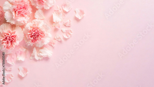 A bouquet of pink carnations with petals scattered on a pink surface, against a textured light pink background. Flat lay.