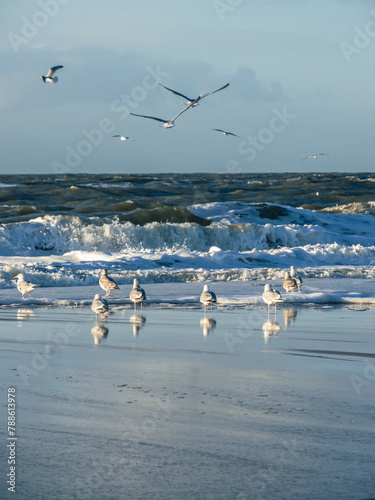 Westerland beach on the island Sylt, Germany