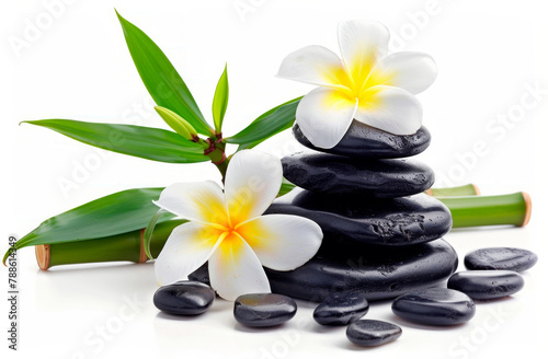 Black Rocks With White Flowers