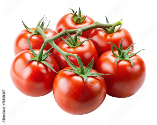 tomatoes on branch isolated on transparent background, element remove background, element for design