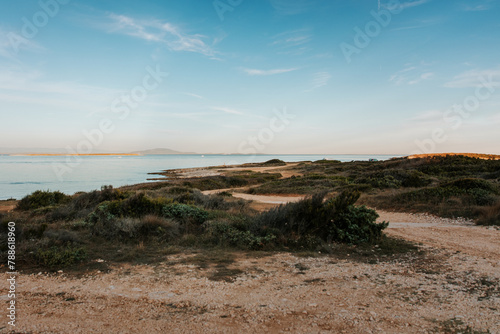 Fototapeta Naklejka Na Ścianę i Meble -  view from the beach in the sunset