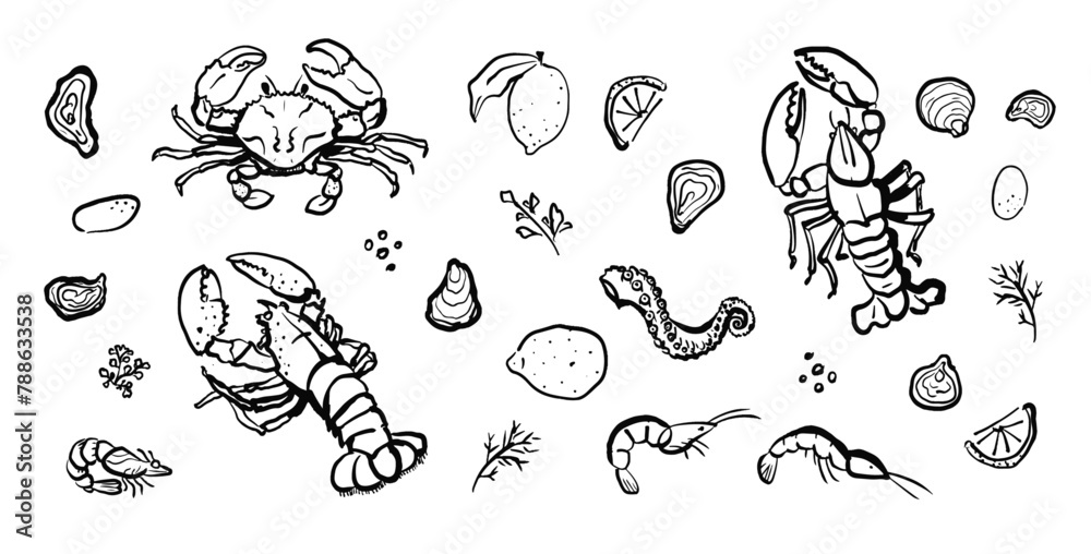 Sketch style seafood and spices illustration. Hand drawn set of crab, lobster, and shrimp with lemon and herbs. Design for restaurant menu or culinary blog. Sketch style seafood and spices illustration. Hand drawn set of crab, lobster, and shrimp with lemon and herbs. Design for restaurant menu or culinary blog.