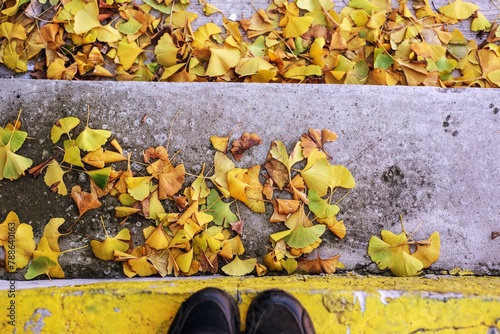 Pies con zapatillas sobre escalones con hojas de otoño en plano cenital