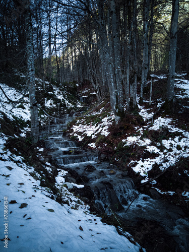uma pequena queda de água no meio das árvores na floresta na montanha, no inverno com neve