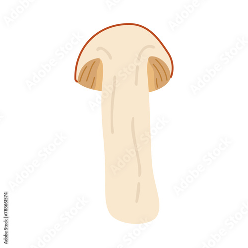 Orange birch bolete. halved mushroom. Leccinum fungi. Edible forest mushrooms. Vegetarian fungi brown cap boletus. Botanical flat vector illustration isolated on white background. 