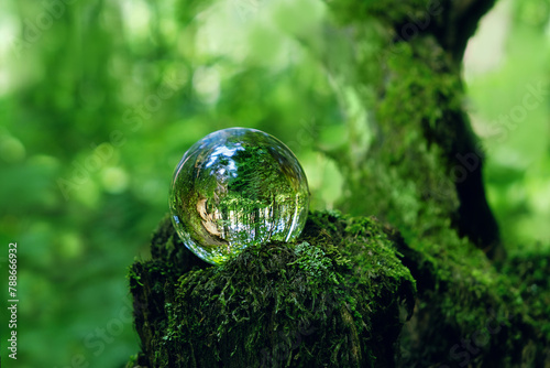 Crystal ball on mossy tree stump in forest, abstract natural background. magic prediction crystal ball for meditation, relax. esoteric spiritual practice. Witchcraft, ritual for summoning spirits