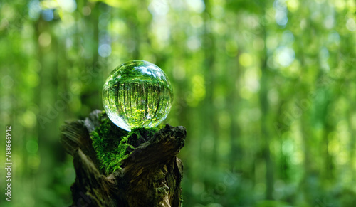 Crystal ball on mossy tree stump in forest, abstract natural background. magic prediction crystal ball for meditation, relax. esoteric spiritual practice. Witchcraft, ritual for summoning spirits