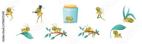 Cute Little Grasshopper Engaged in Various Activity Vector Set © Happypictures