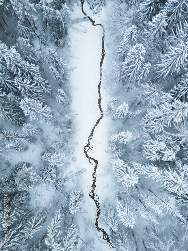 Aerial view of frozen winter landscape in Zelenci natural reserve, Log, Kranjska Gora, Slovenia. photo