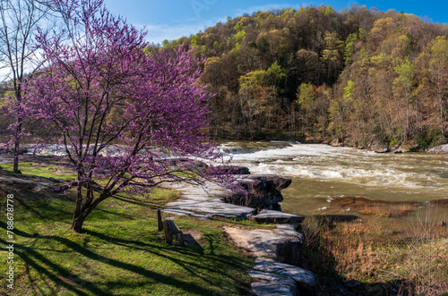 Valley Falls State Park near Fairmont in West Virginia on a colorful and bright spring day with redbud blossoms on the trees