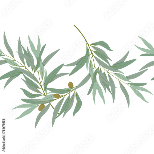 Seamless border of olive branches with olives