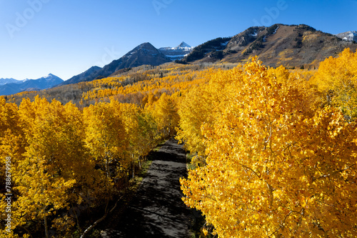 Drone shot of fall in the Wasatch mountains, Utah.