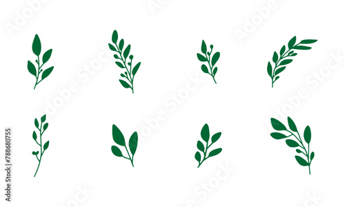 Vector branches and leaves. Hand drawn herb elements. Vintage botanical illustrations.